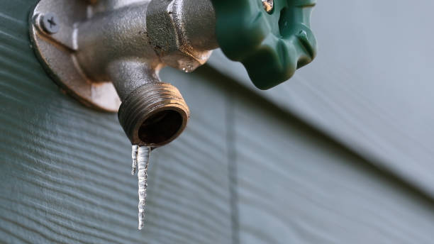 Best Plumbing Repair Near Me  in Lake Nacimiento, CA