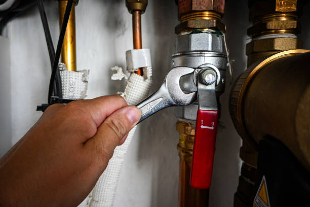 Best Affordable Plumbing Services  in Lake Nacimiento, CA